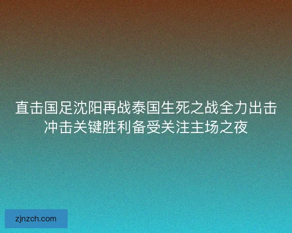 直击国足沈阳再战泰国生死之战全力出击冲击关键胜利备受关注主场之夜