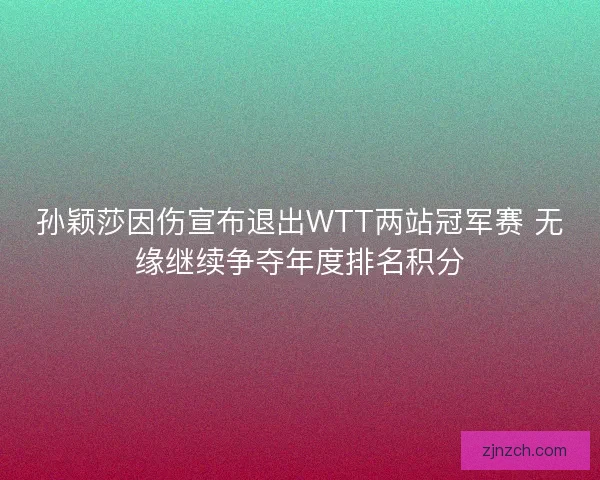 孙颖莎因伤宣布退出WTT两站冠军赛 无缘继续争夺年度排名积分